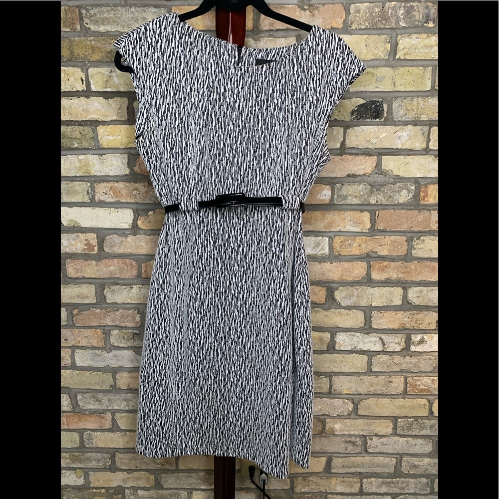 COPY - Connected Petite Black & White Belted Mid Length Dress
